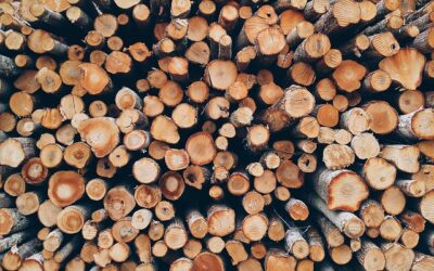 Vælg den rette brændekløver – En praktisk guide til hjemmets træbearbejdning